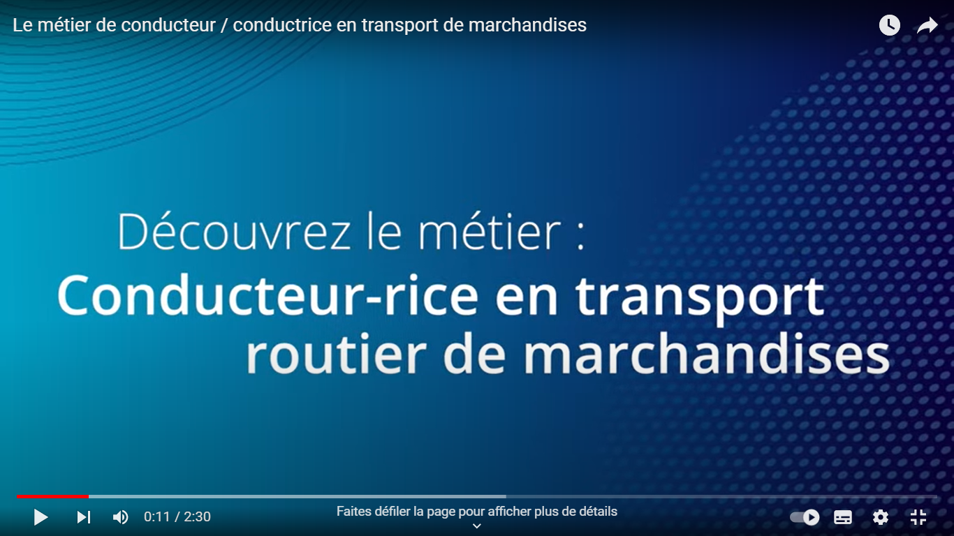 Conducteur de transport routier